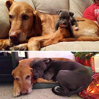 ������������㳤��һ��Ա�����Ϯ~