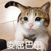 ����������Ҫɹ��+�����ж��⡿