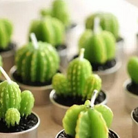 �������ֲ�����а񣬷������ֲ���ȫ