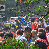 ��ĩ����԰���ʻ�����ʳ