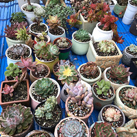 ����Է�Ҳ�ܳ��ܺõ�������+�����ж��⡿