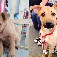 ���ﱻ����ǰ��Ա�ͼ����������ܸ��ܵ�˭������