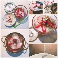 һҹ�պ��ܲ�