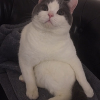 ���йԱ�������