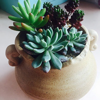 "�־�����"������+�����ж��⡿