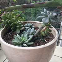 �ҼҵĶ���ɾ��ˡ����ж��⡿