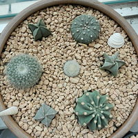 ɹ�⣬����ɹ�⣬��������+�����ж��⡿