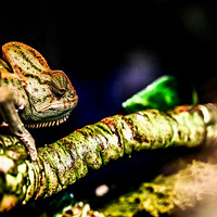 ɹɹ����ĳ���