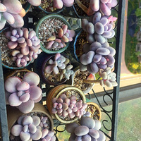 ������������������������+�����ж��⡿