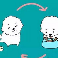 ����������ѵ�����������С�㣿