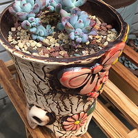 ɹ����+�����ж��⡿