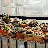 ��һƬ�⺣������һ������+�����ж��⡿