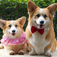 �����ҵ�2Сֻ��������ͣ�������