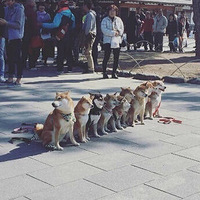 �����������񹬵Ĳ�Ȯ��ۻᣬ��������ã�