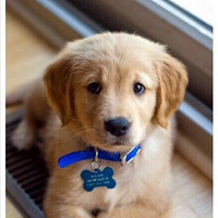 ������̳���˸��������������С�Ĳȵ�����������ô������Ǹ��