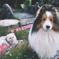 ˭˵è��͹������̣��Ҽ����غ�lucky����һ�Ժ����ѣ�