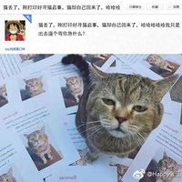 �������ѵ������ˣ��մ�ӡ��Ѱè��ʾ��èȴ�Լ�������