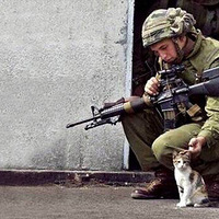 ս���µ�Сè�䣬��ĺÿɰ�~