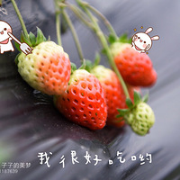 ��������С��ݮӴ�ǺǺǺ�