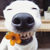 ����������Ҳ�Ȳ������΢Ц~