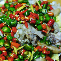 һ������֮˫���㻨+ˮ����Ƭ+����������