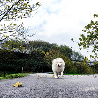 �������ˣ��ֵ��˹��������յļ����ˡ���