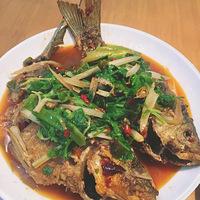 ���������Ư��+������ֱ��������