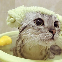 ������ֵ��ʱ���ˣ��Ͼ����Ǹ������Է��ģ�