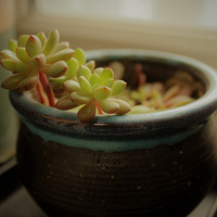 ɹ���н���   ���ڲ���+�����ж��⡿