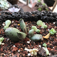 ��л����֮��+�����ж��⡿