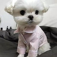 ����ͬ��˯�£���Ҳ��Ŷ�����Ͼ���������С����