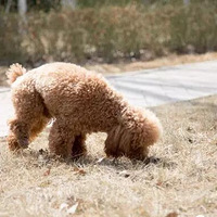 ���˼ҵĹ�������ͬ����̩���ֵ�