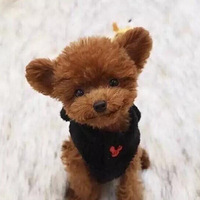 С̩���ж�ɰ�������ܵ�����