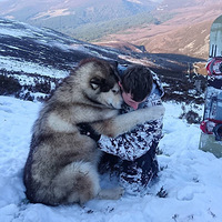 ����˹����Ĳ����䣬ѩ������������~