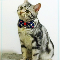 ���Ϻ����ᣬ̫����