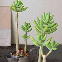 �������ֱ�֪��21�����������֪����Щ����ô�����û���