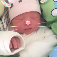 �Ҿ�������Ŀ�Ҫ���������ˡ�