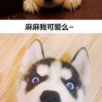 ������������ë������û�жԱȾ�û���˺�