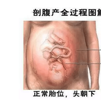 ʸͼ⣬ÿ趼Ӧ֪࡭