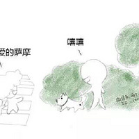 �����޹�ʱ����Թ���̬�Ⱦ����Ҷ����̬��