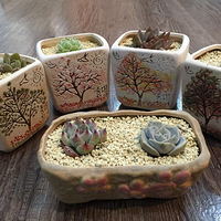 �Ҽҵ�����+�����ж��⡿