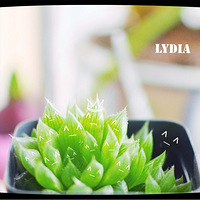 ��ħ�ô���ײ˼��������