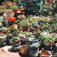 �������廳�ҵ�����+�����ж��⡿