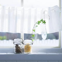 ��ֲ���ܴ�ȫ���Ժ��������²���ʶ��