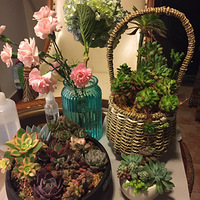 һ���⺣���������������������ֲ��+�����ж��⡿