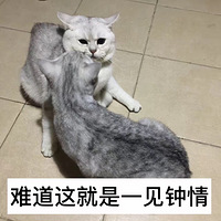 ��������������Բ