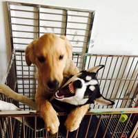 ����Ҫ�����棬����ʲô�취����Ҳ��ܾ�����