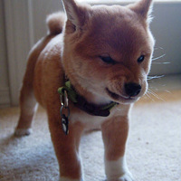 ����ḻ�Ĺ��������������������������������������