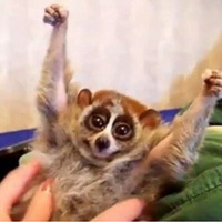 Ű�ģ����������Ҳ������������ˡ���