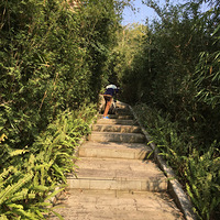 ���ǲ�ϲ��ȥ�˶�ĵط������֡������ˣ�¶���